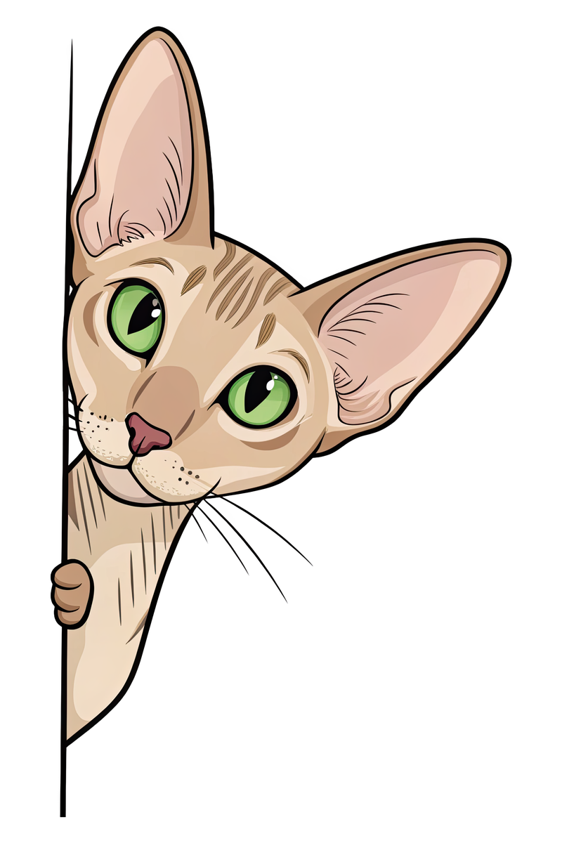 Peeking Oriental Shorthair Cat - All Cats Screen Print T-Shirt & Hoodie