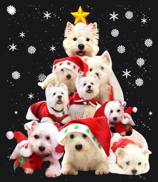 Events & Celebrations #57 - General Celebrations Screen Print T-Shirt & Hoodie