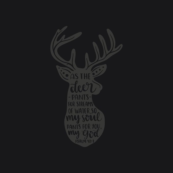 Faith & Bible #122 - Faith & Bible Screen Print T-Shirt & Hoodie
