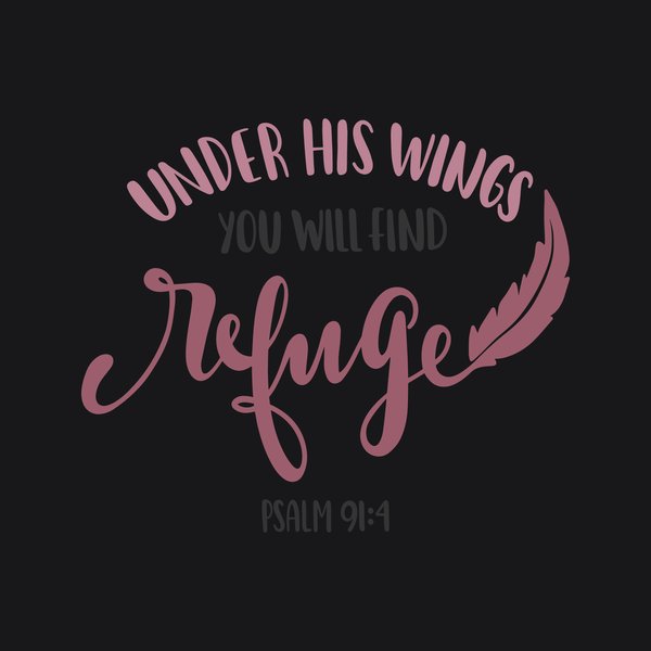 Faith & Bible #125 - Faith & Bible Screen Print T-Shirt & Hoodie