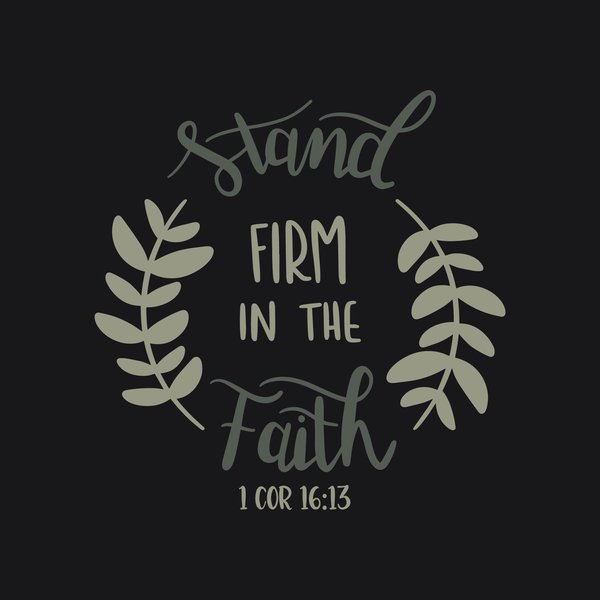 Faith & Bible #151 - Faith & Bible Screen Print T-Shirt & Hoodie