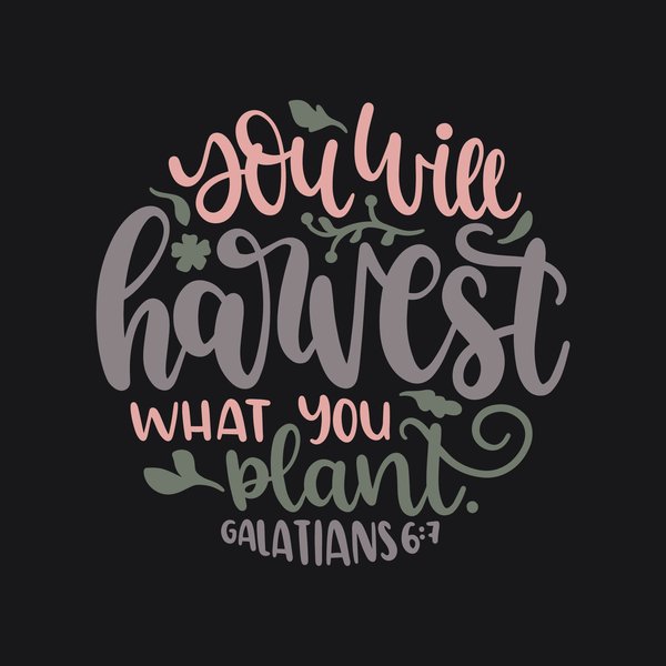 Faith & Bible #41 - Faith & Bible Screen Print T-Shirt & Hoodie