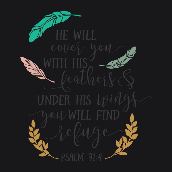Faith & Bible #48 - Faith & Bible Screen Print T-Shirt & Hoodie