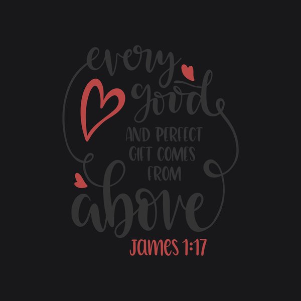 Faith & Bible #63 - Faith & Bible Screen Print T-Shirt & Hoodie