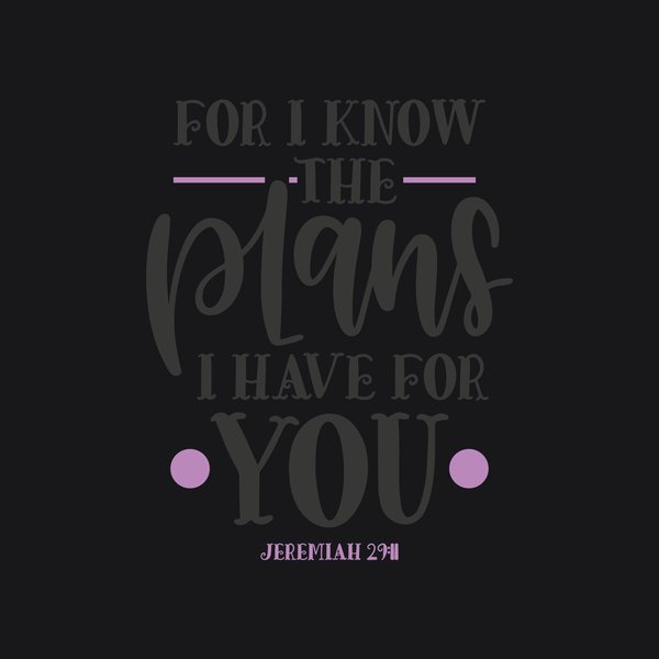 Faith & Bible #64 - Faith & Bible Screen Print T-Shirt & Hoodie