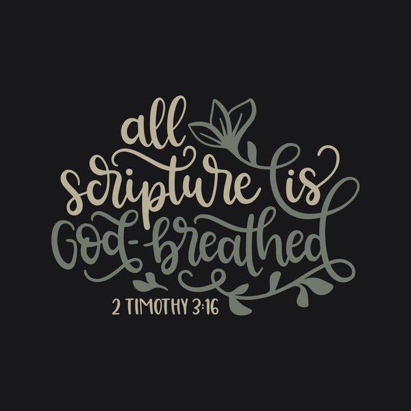 Faith & Bible #8 - Faith & Bible Screen Print T-Shirt & Hoodie