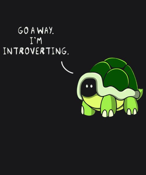 Go Away I'm Introverting - Sarcasm & Humor Screen Print T-Shirt & Hoodie