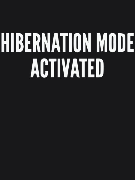 Hibernation Mode Activated - Sarcasm & Humor Screen Print T-Shirt & Hoodie