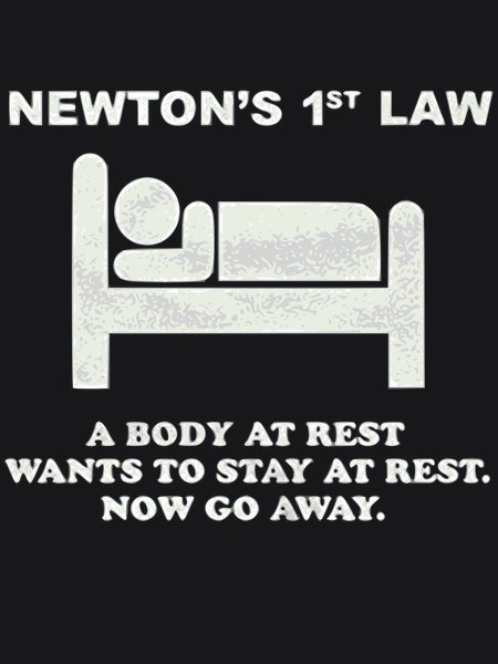 Newton's 1st Law Body At Rest - Sarcasm & Humor Screen Print T-Shirt & Hoodie